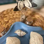 Apartament Sea Garden